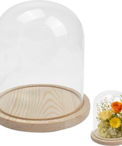 Glass Dome with Base for Display, Wooden Cloche Bell Jars 5.9" x 7.9" Case Cover Large Terrarium Cloches Pocket for Flower Watch Small Plastic Ornament Candle Plant Home Party Wedding Decor-LightColor